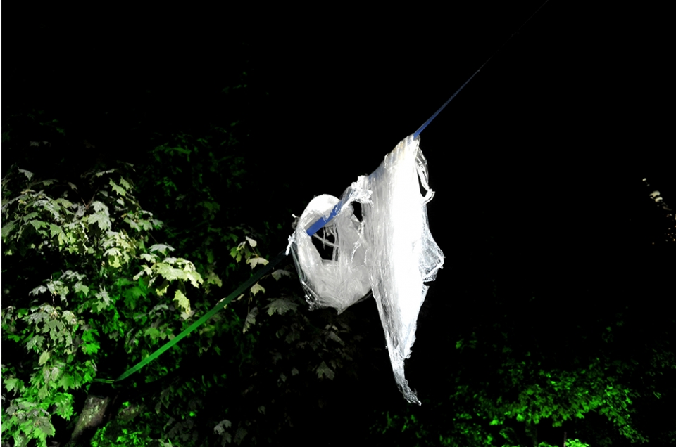 © Silvano Prada - Festival de la Cité - Lausanne - 2011